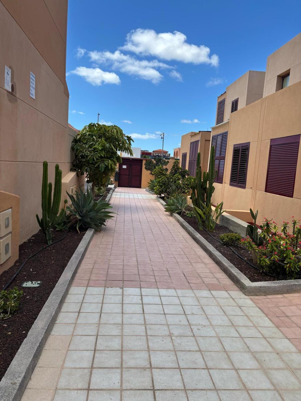 Elisabeth Apartmant Калета де Фусте Екстериор снимка